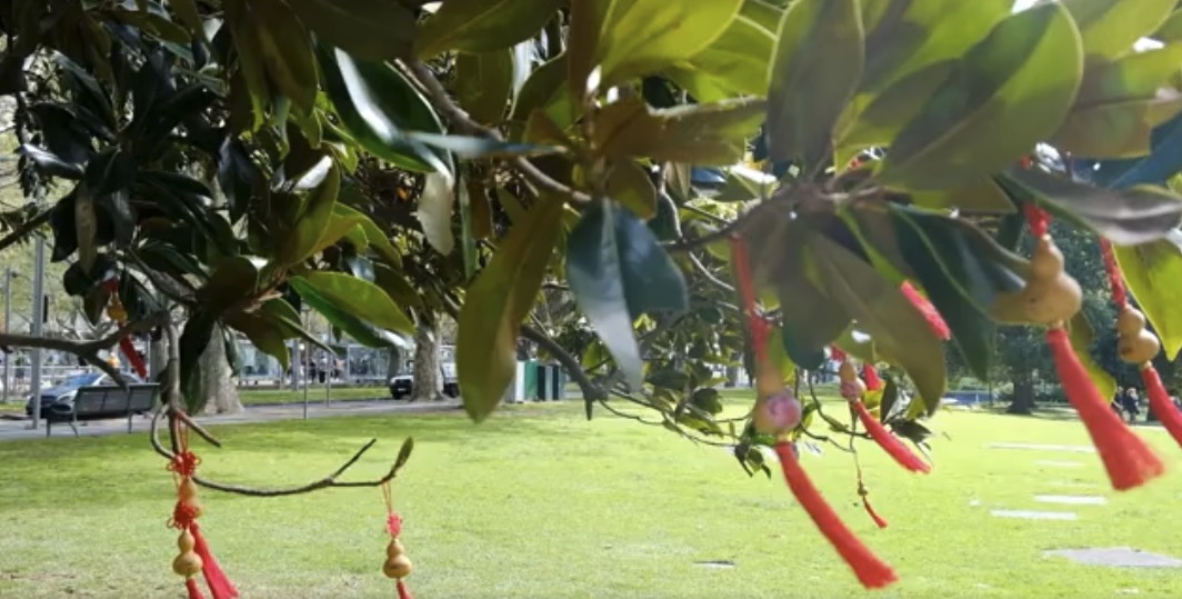 Queen Victoria Gardens 2nd Anniversary 2024